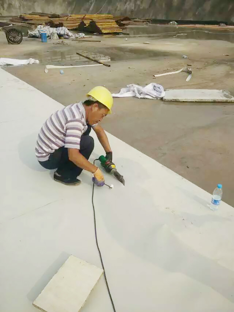 耐根穿刺高分子