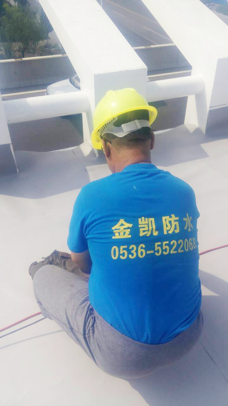 耐根穿刺高分子