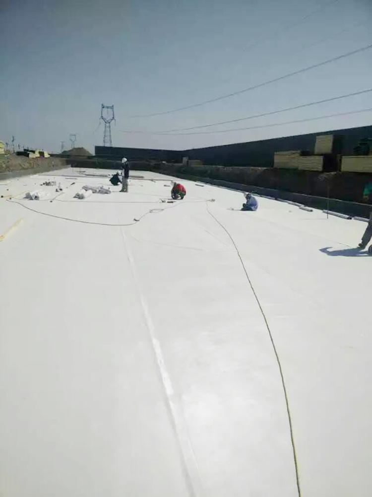 耐根穿刺高分子