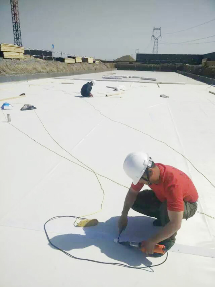 耐根穿刺高分子